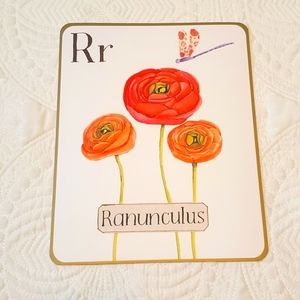 4 for $25! Letter R Ranunculus Card with Dragonfly